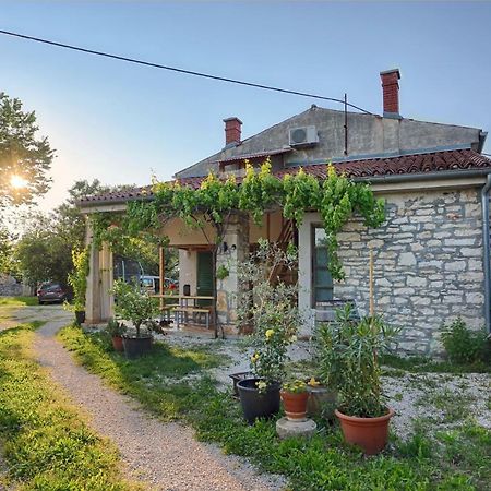 Rural Apartment Geja อูมัค ภายนอก รูปภาพ